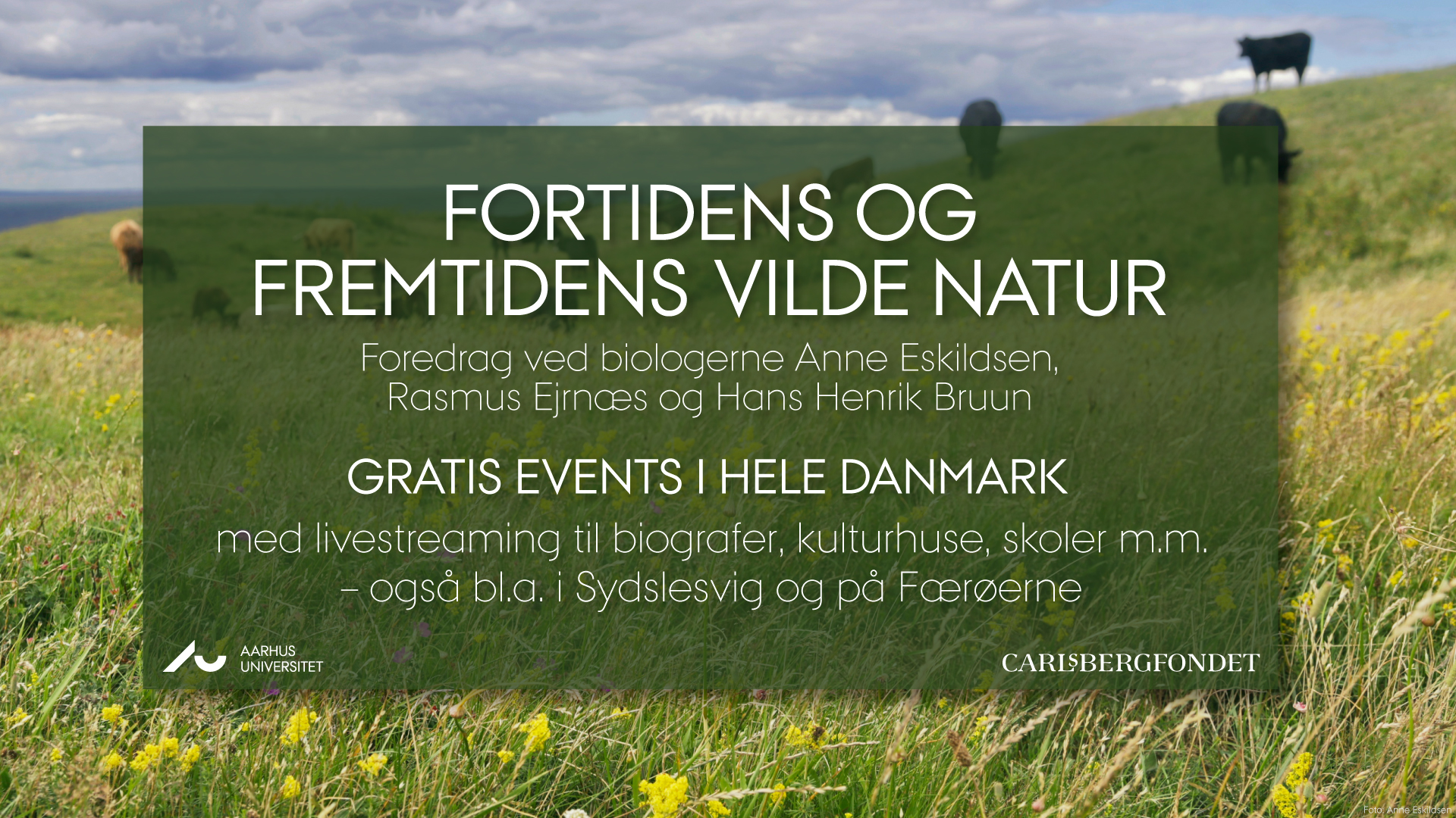 Fortidens og fremtidens vilde natur